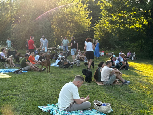Piknikas su augintiniu 🐾
