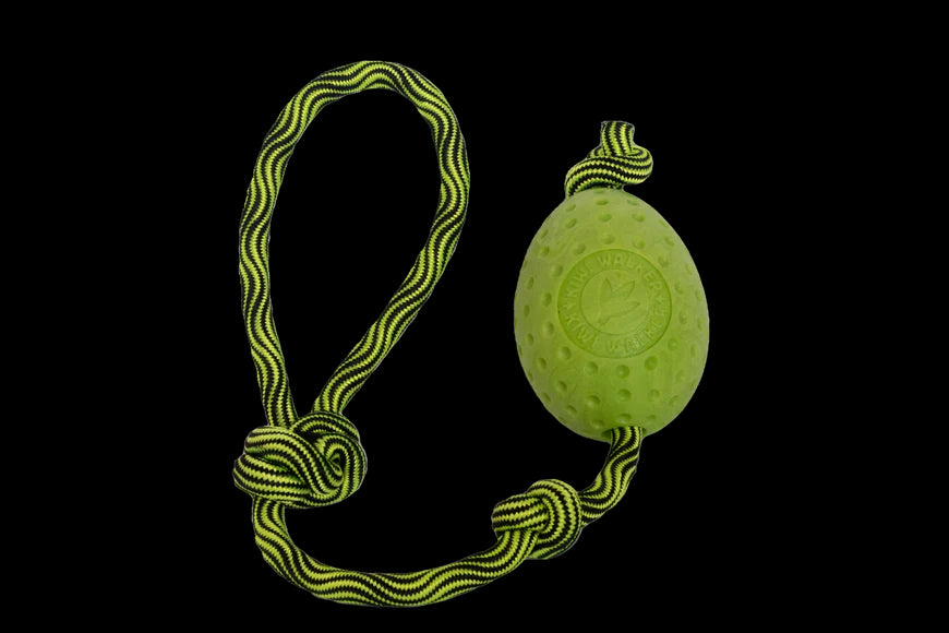 Žaislas šunims, kiaušinis su virve, įvairių spalvų