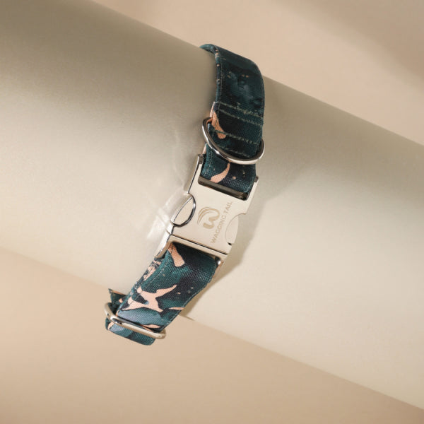 Greito užsegimo antkaklis CHAMAELEON M