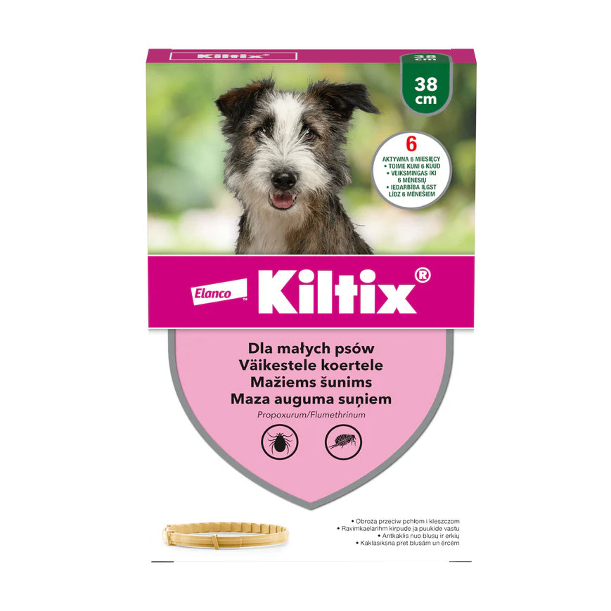 KILTIX antkaklis mažiems šunims, 38cm