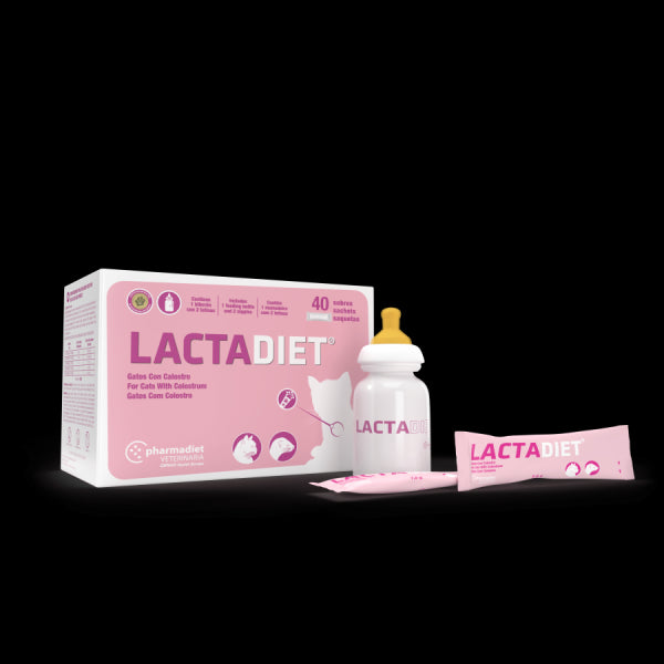 Lactadiet Gatos pieno pakaitalas katėms N40
