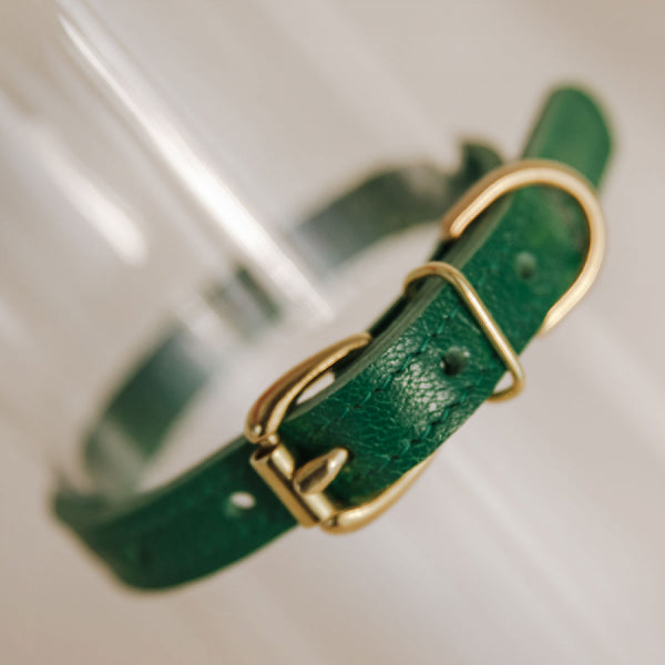 Odinis antkaklis EMERALD mažų veislių S