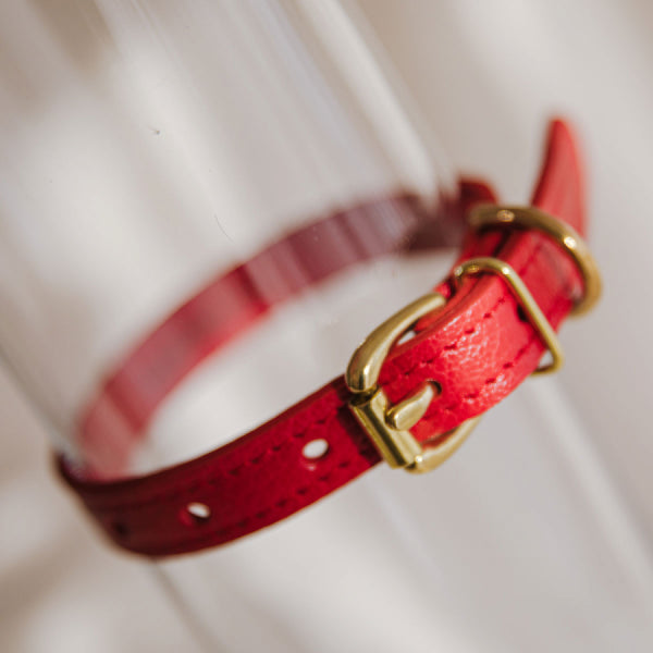 Odinis antkaklis RUBY mažų veislių XS