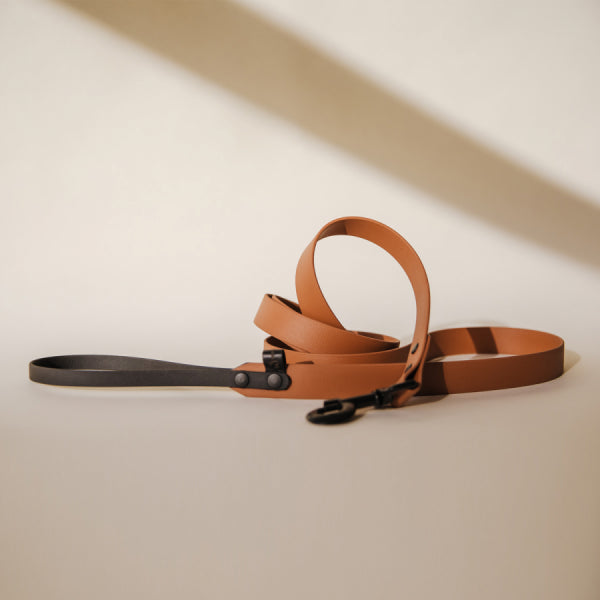 Pavadėlis biotano CARAMEL 2m