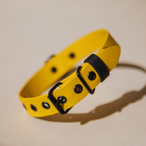 Biotano antkaklis BUMBLEBEE S