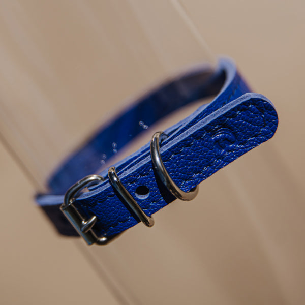 Odinis antkaklis BLUEBERRY mažų veislių S