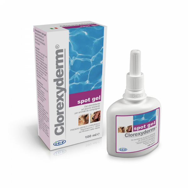 Antiseptinis dėmių gelis Clorexyderm, buteliukas 100 ml su dozatoriumi ir dėžute