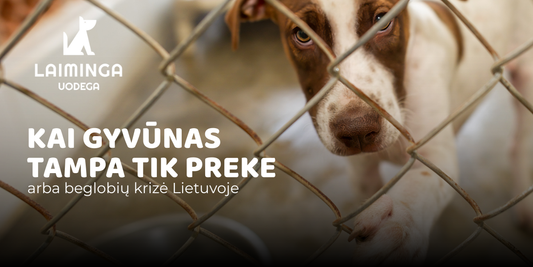 Kai gyvūnas tampa tik preke arba beglobių krizė Lietuvoje