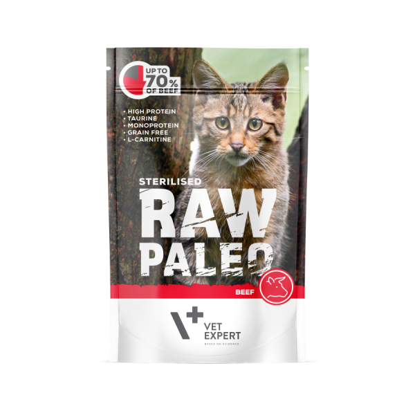 Raw Paleo Sterilized Cat guliašas sterilizuotoms katėms su jautiena 100 g