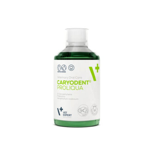 CARYODENT burnos ertmės skystis, 250ml