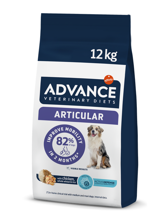 Articular Dog 12 kg sąnarių problemoms