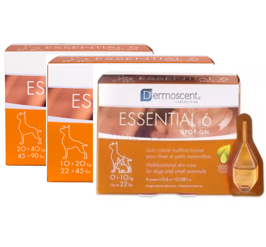 Dermoscent Essential 6 – lašai šunų odos ir kailio būklei gerinti 0-10kg 0,6ml N4