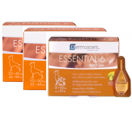 Dermoscent Essential 6 – lašai šunų odos ir kailio būklei gerinti 20-40kg 2,4ml N4