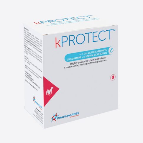 kPROTECT tabletės, papildas esant inkstų ligoms šunims ir katėms, N120
