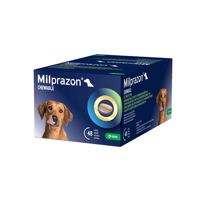 Milprazon Chewable 12,5 mg/125 mg tabletės šunims N1