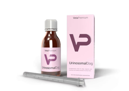 Urinosomal Dog 120 ml, šunims šlapimo pūslės apsaugai