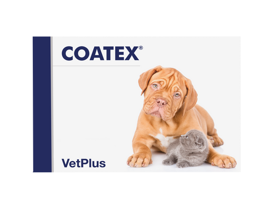 Coatex N60, pašaro papildas odai šunims ir katėms